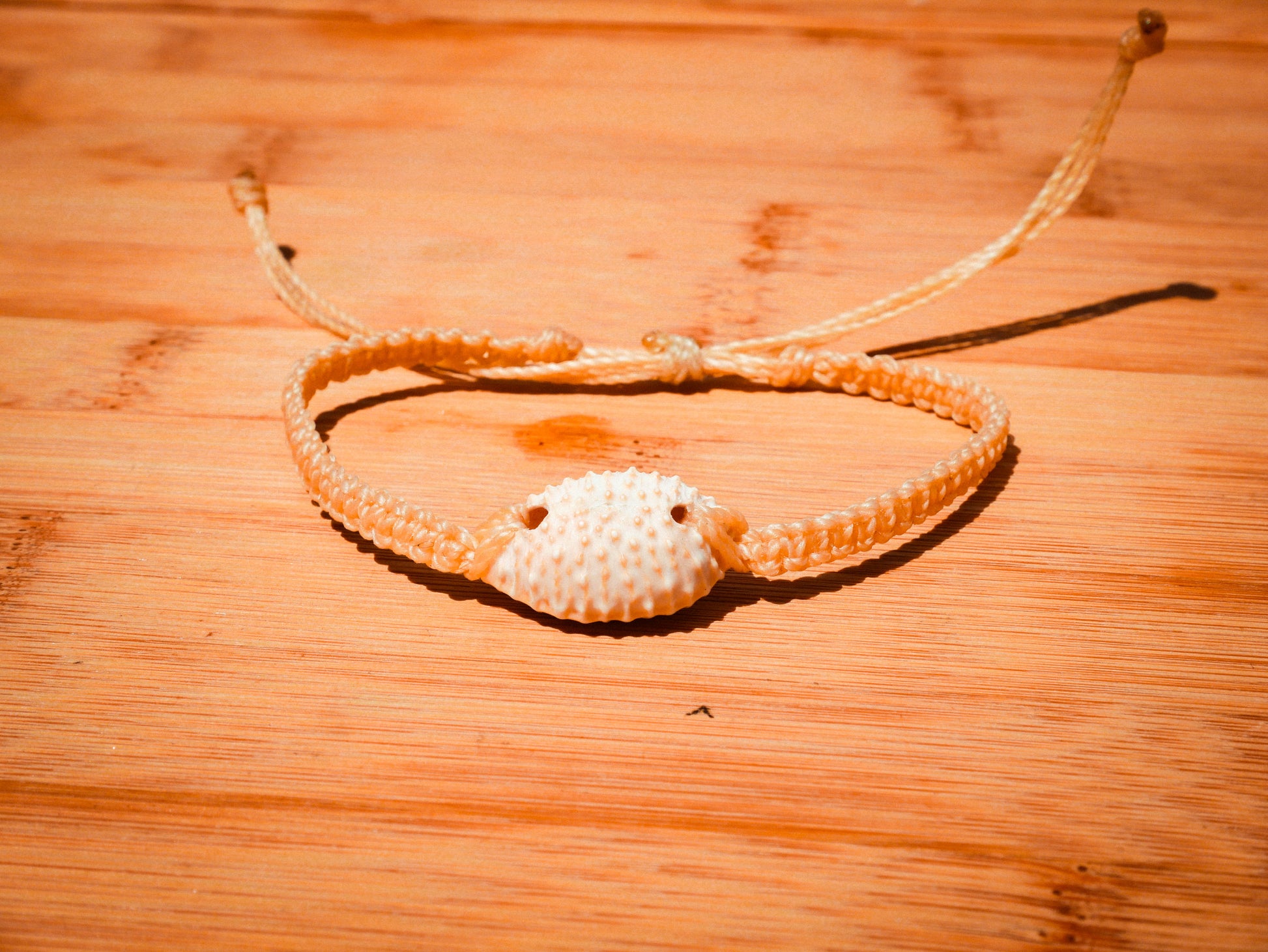 Granulated Cowrie Bracelet/Anklet