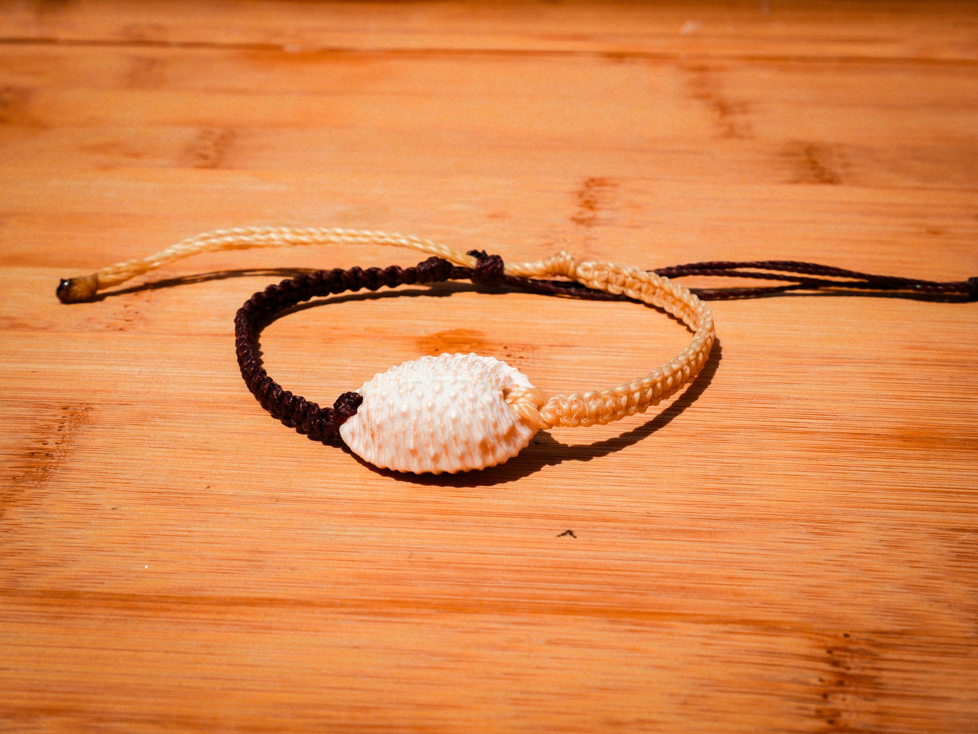 Granulated Cowrie Bracelet/Anklet