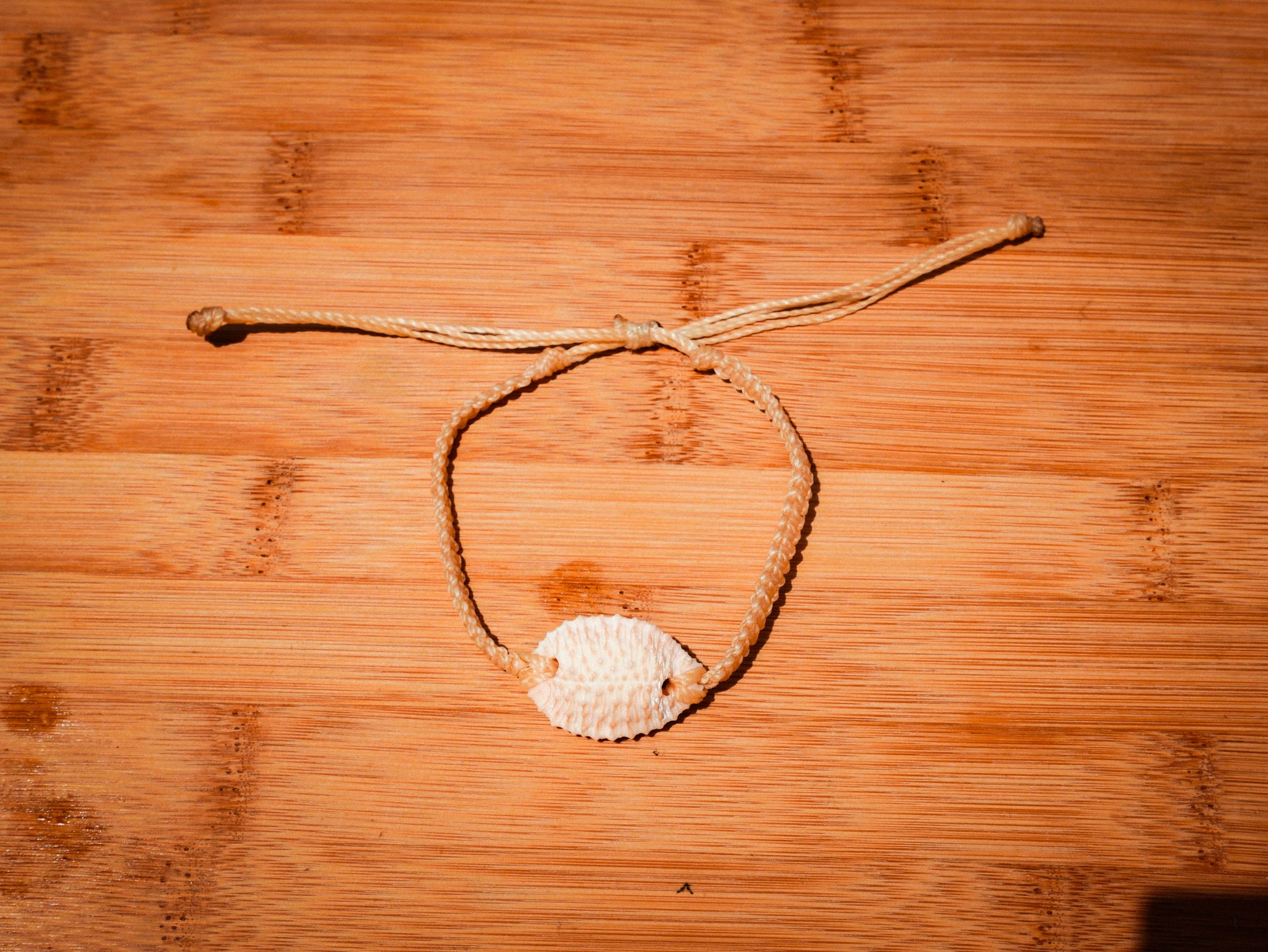 Granulated Cowrie Bracelet/Anklet