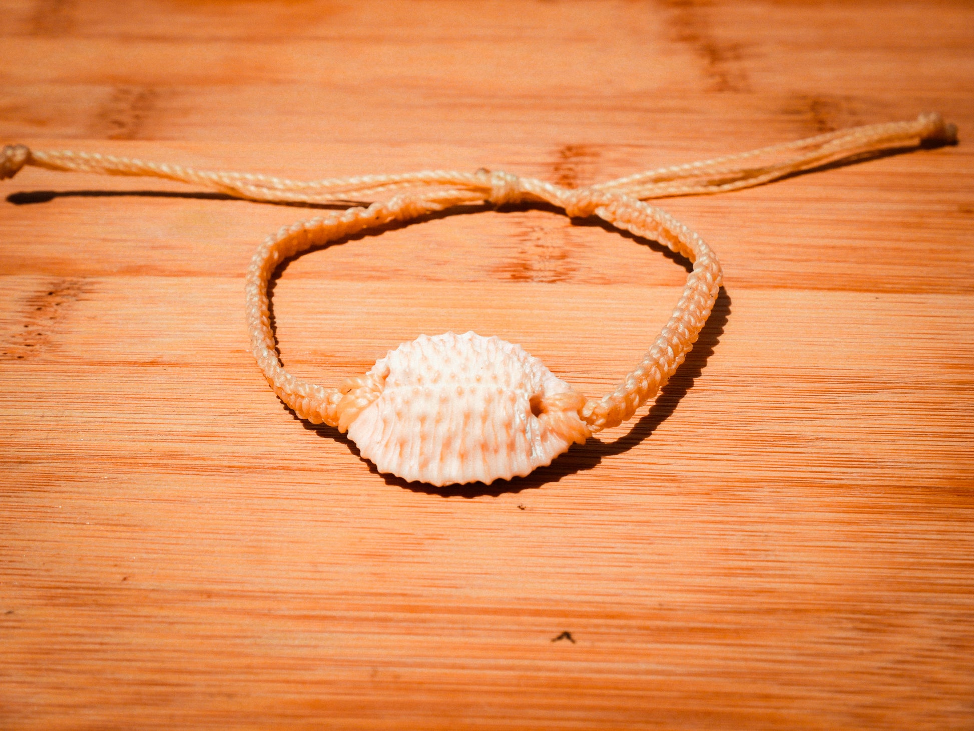 Granulated Cowrie Bracelet/Anklet