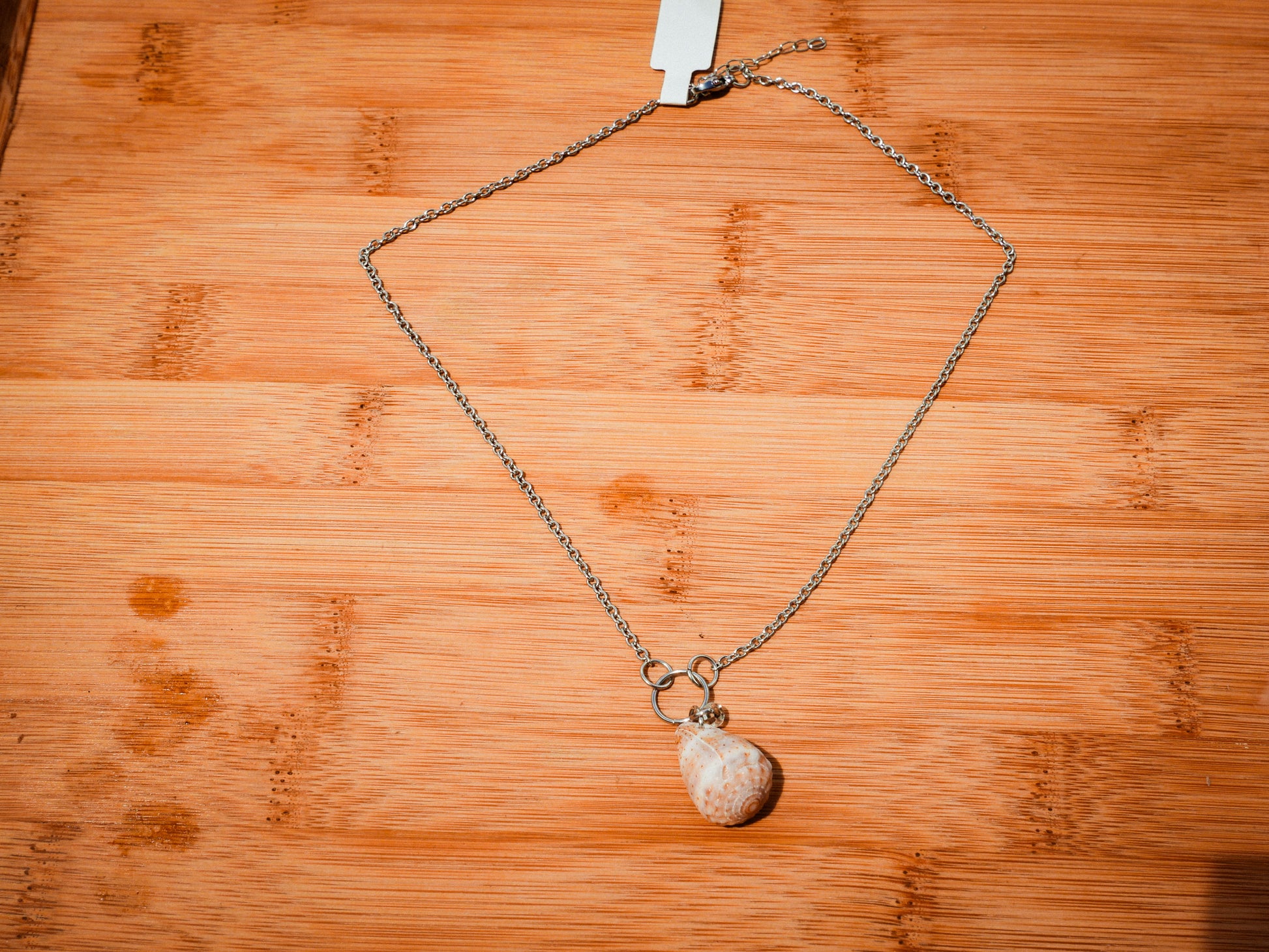Cone Shell Necklace