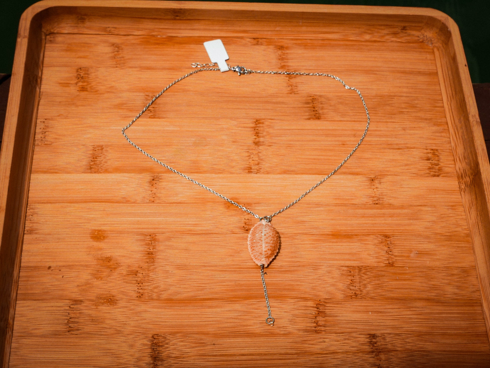Granulated Cowrie Neclace