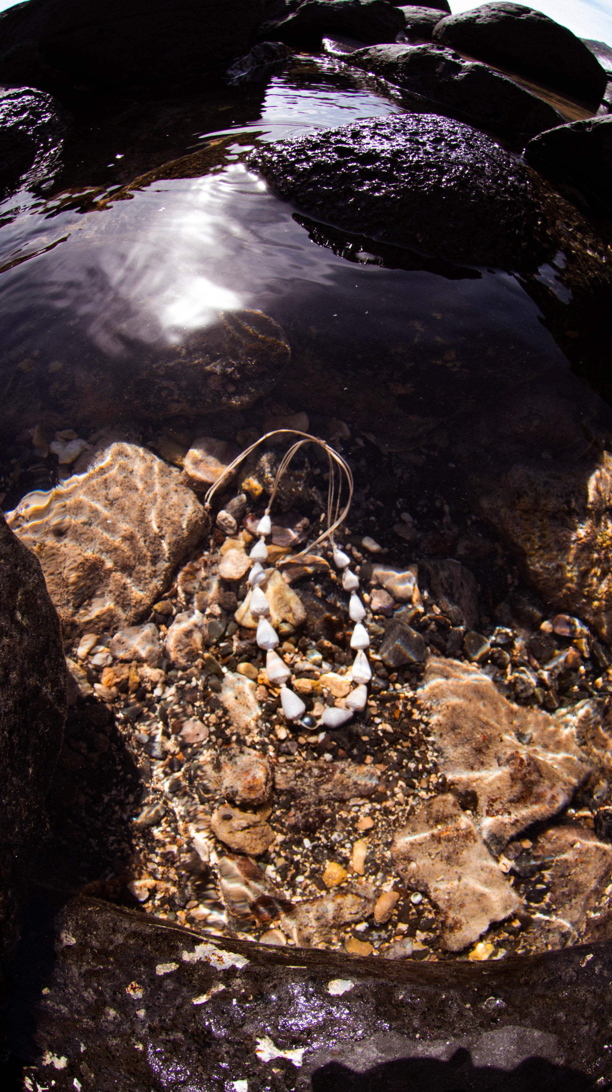 Cone Shell and Tahitian Pearl Necklace