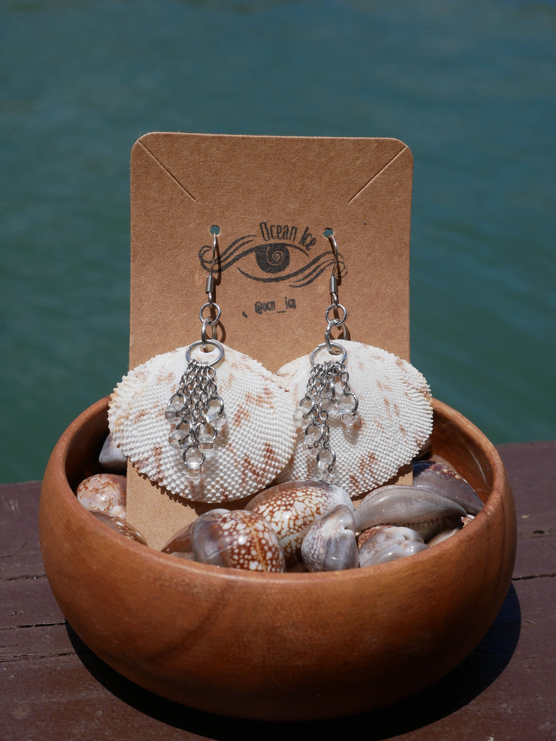 Rasp Tellin Shell Earrings