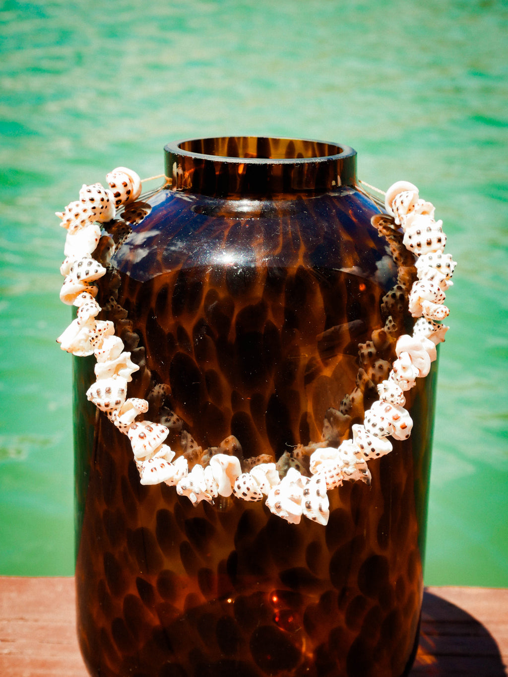 Drupe Shell Necklace