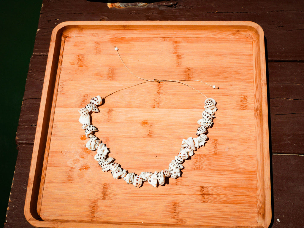 Drupe Shell Necklace