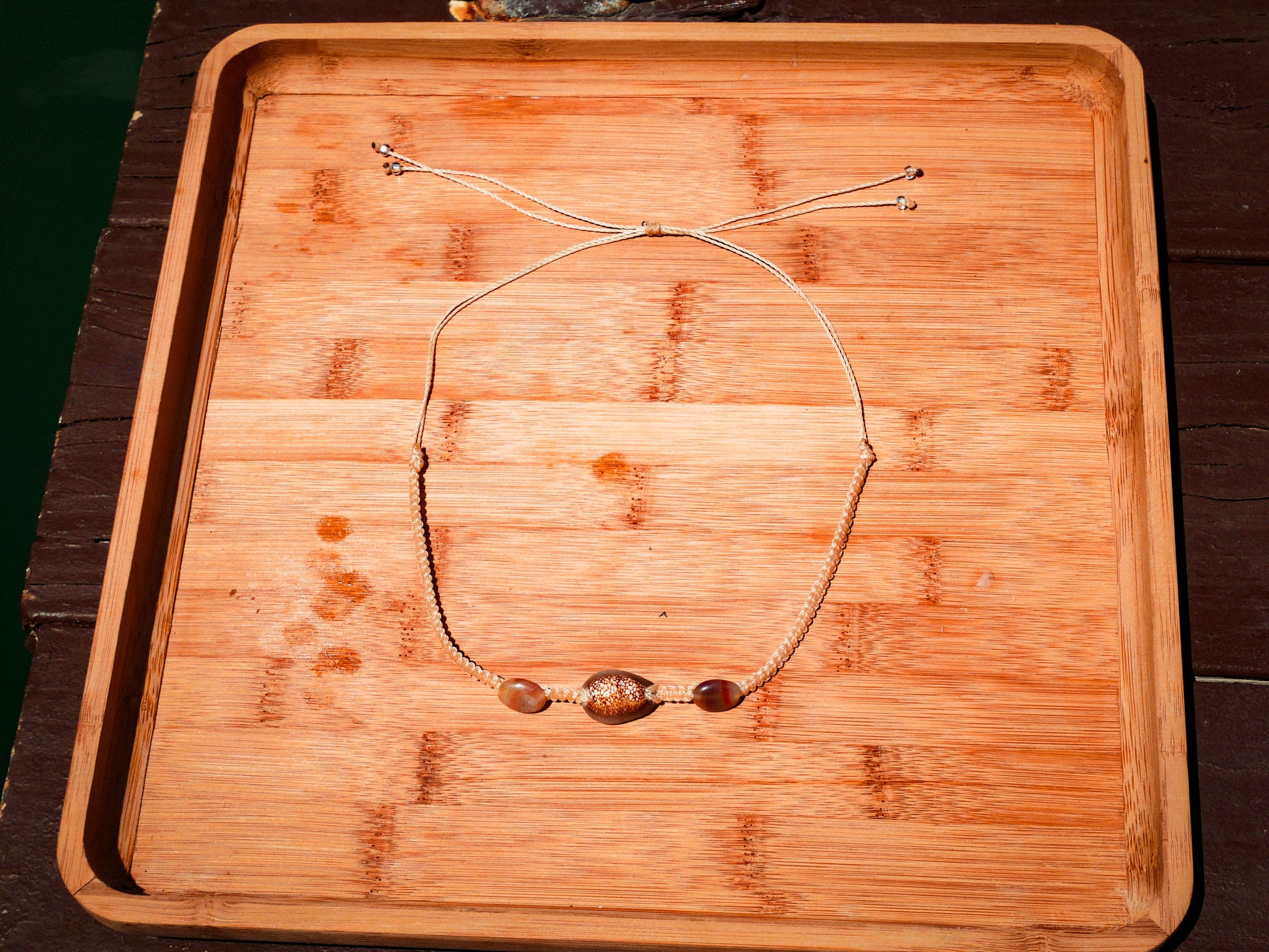 Snakehead Cowrie Choker Necklace