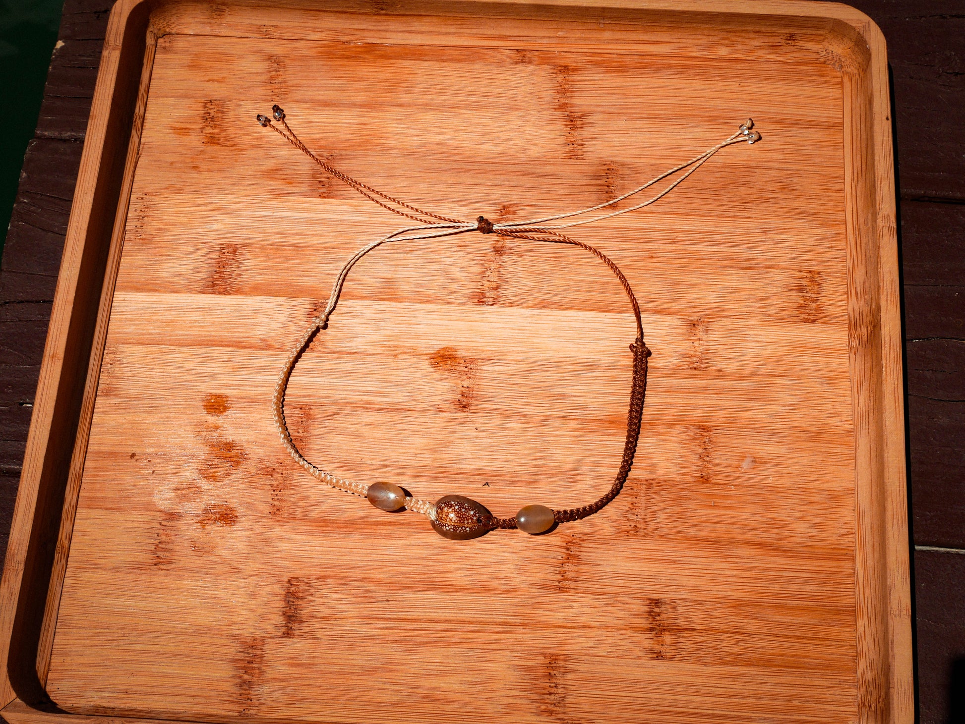 Snakehead Cowrie Choker Necklace