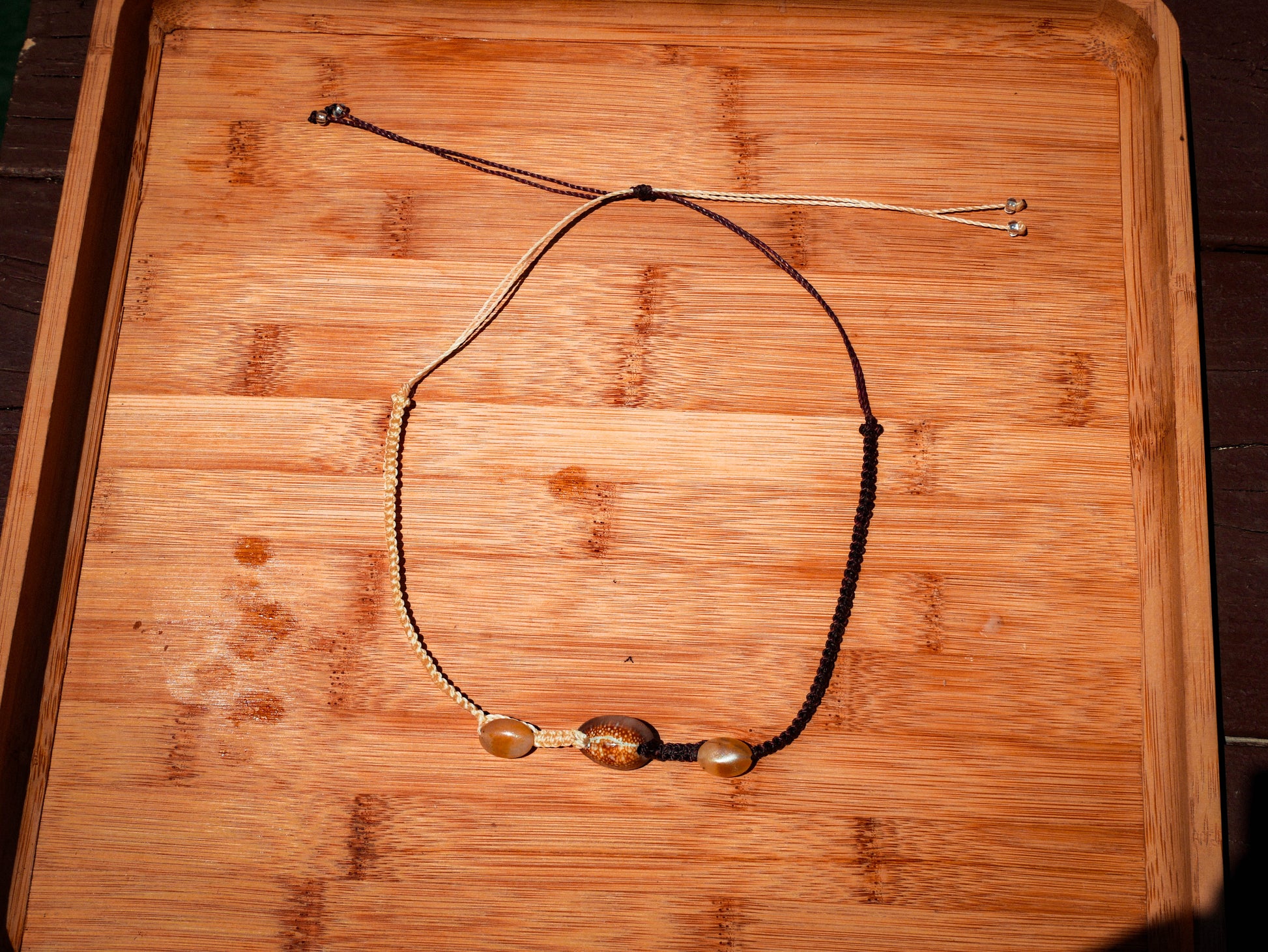 Snakehead Cowrie Choker Necklace