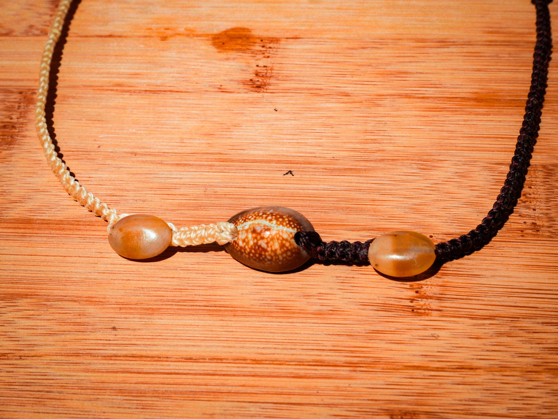 Snakehead Cowrie Choker Necklace
