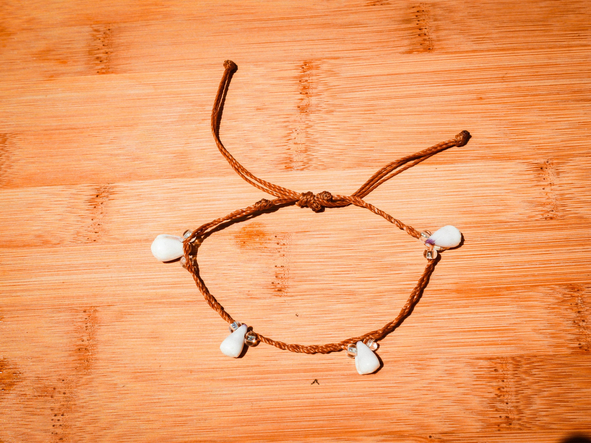 Cone Shell Bracelet/Anklet