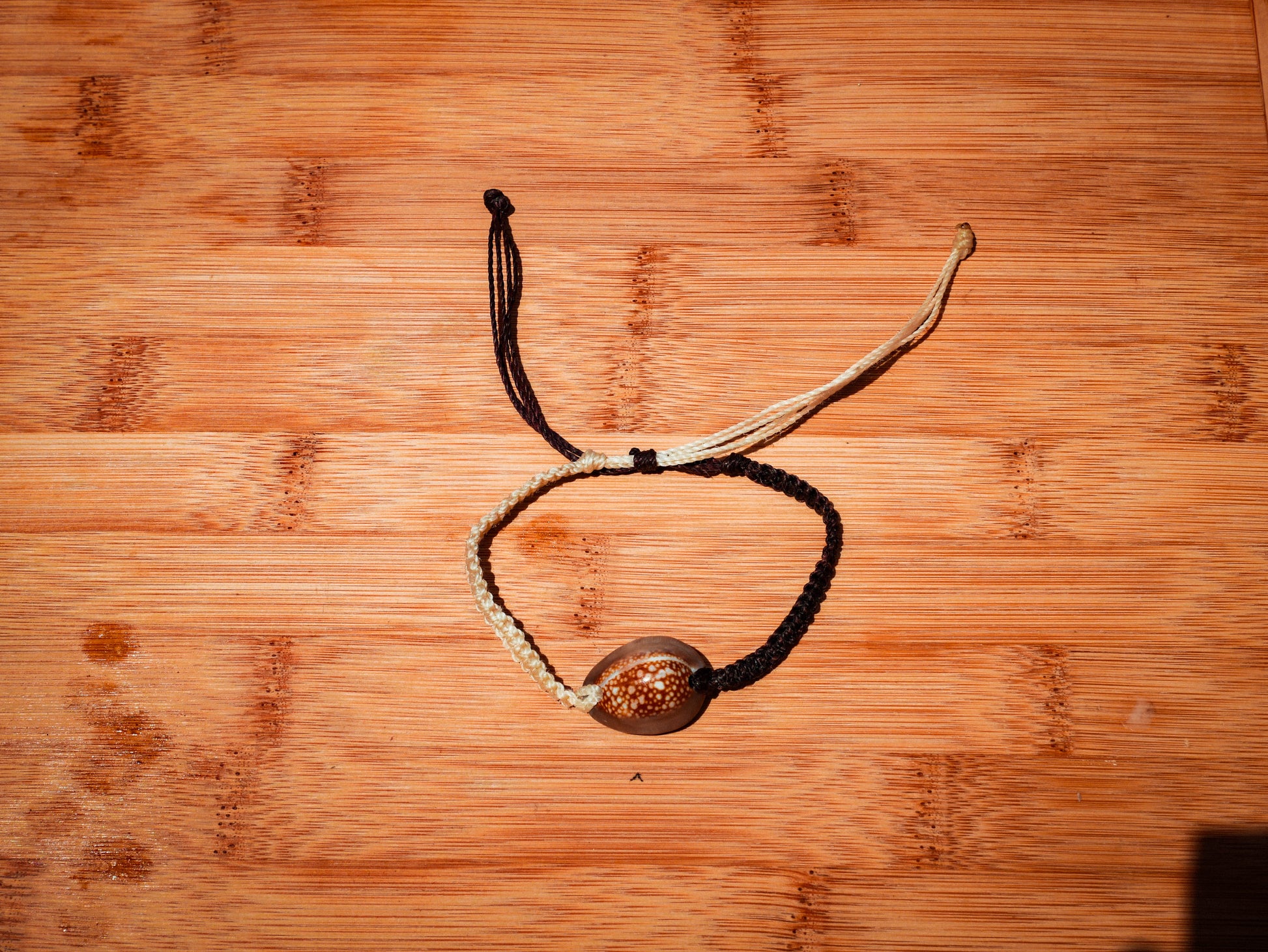 Snakehead Cowrie Bracelet/Anklet