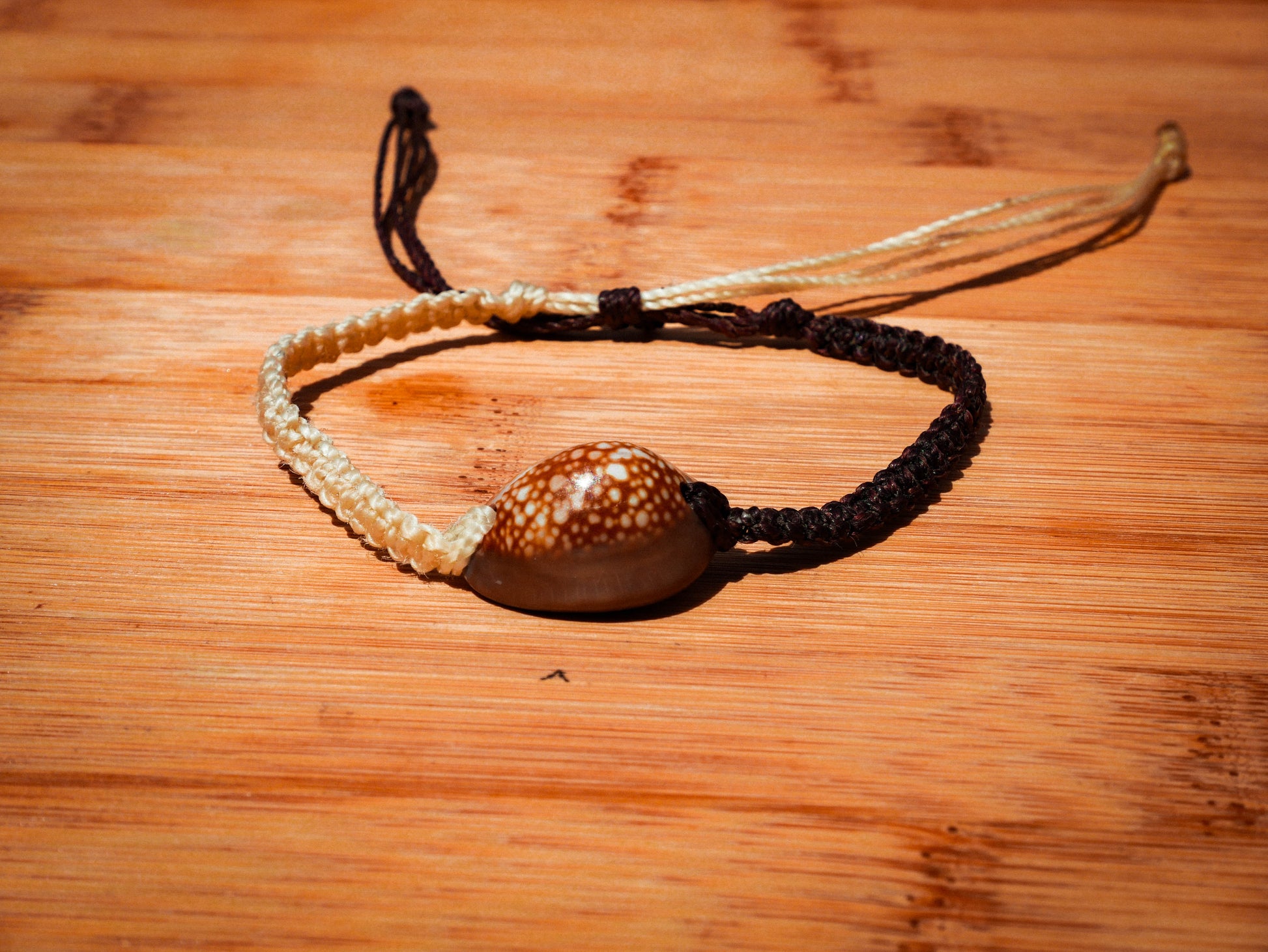 Snakehead Cowrie Bracelet/Anklet