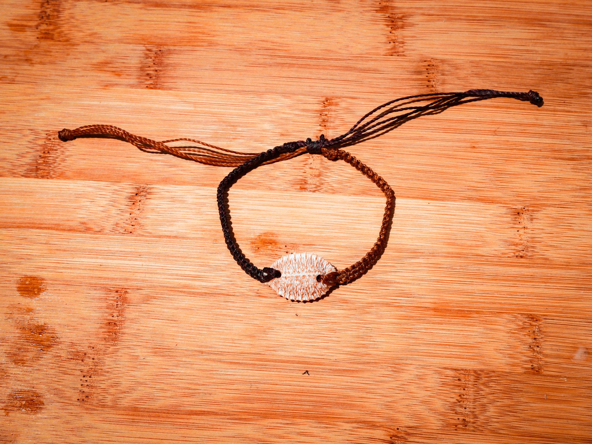 Granulated Cowrie Bracelet/Anklet