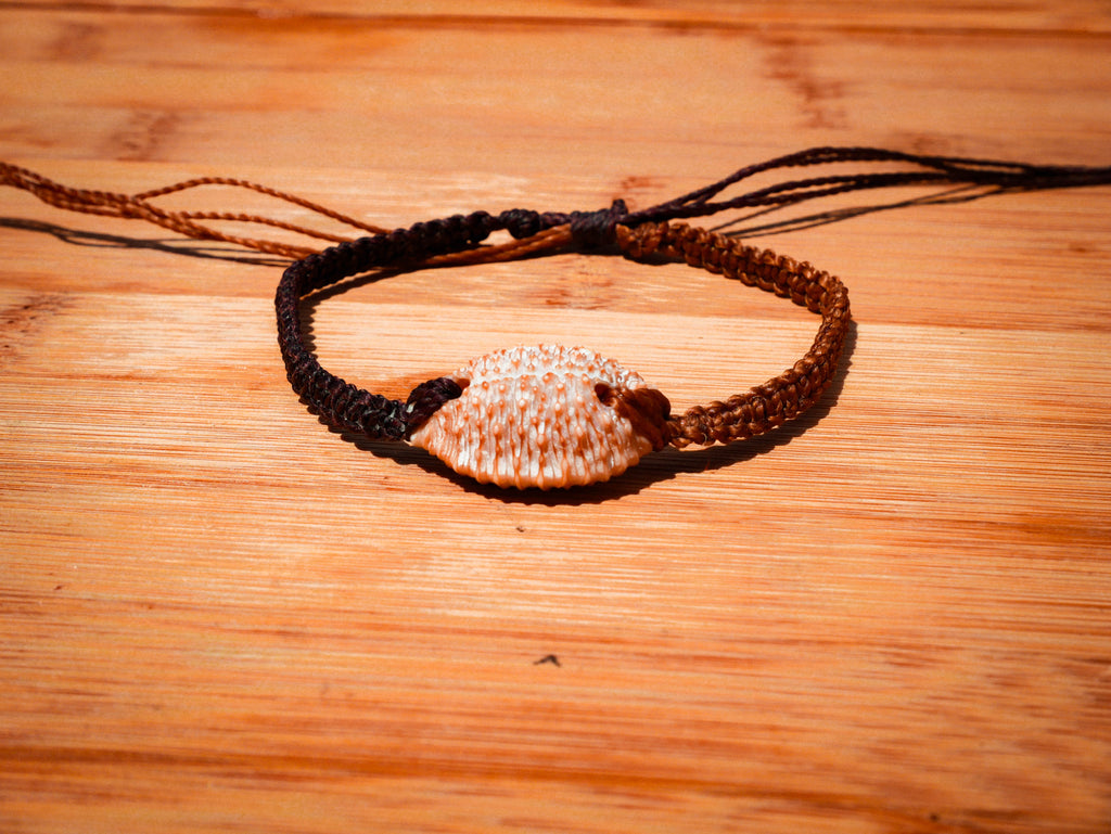 Granulated Cowrie Bracelet/Anklet