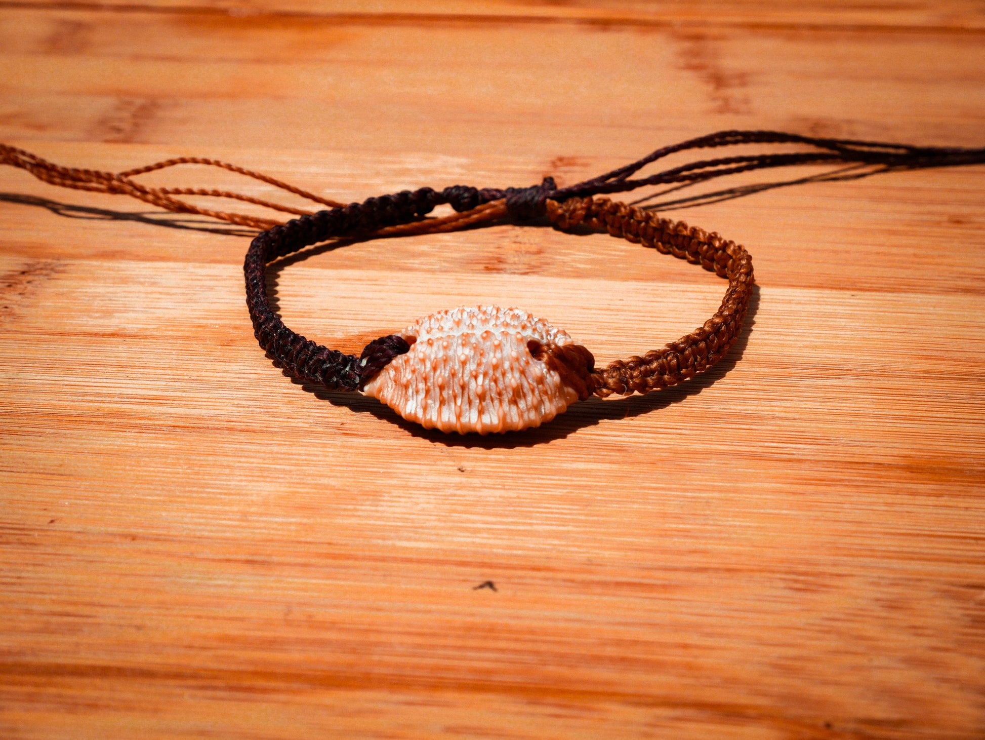 Granulated Cowrie Bracelet/Anklet