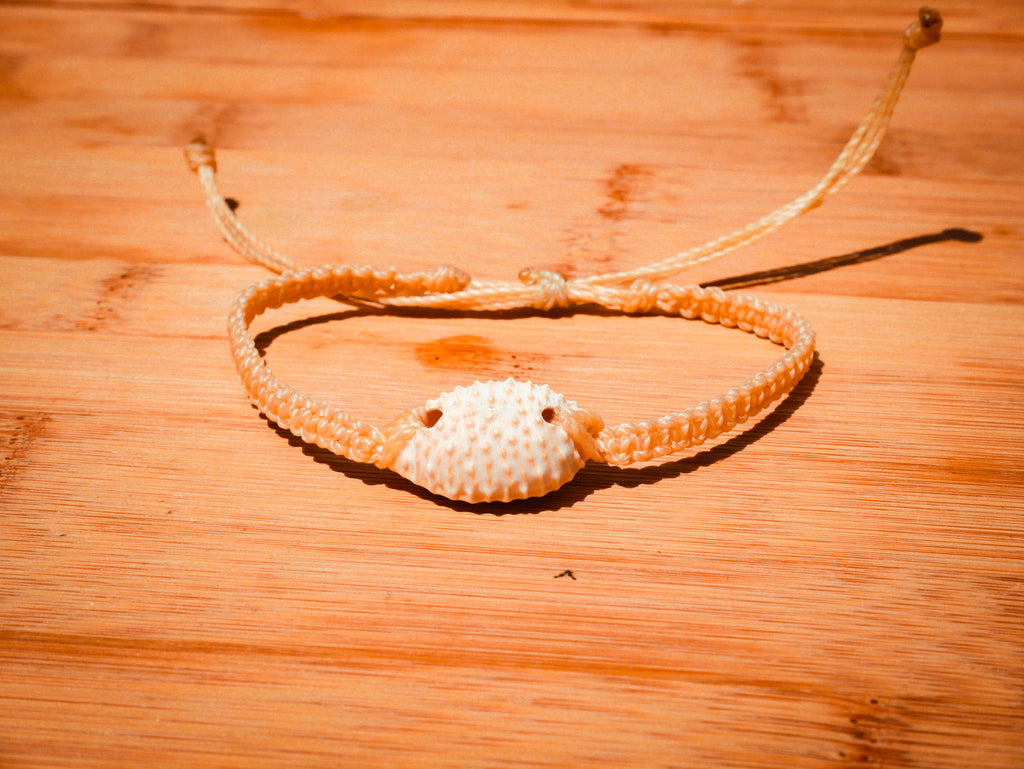 Granulated Cowrie Bracelet/Anklet