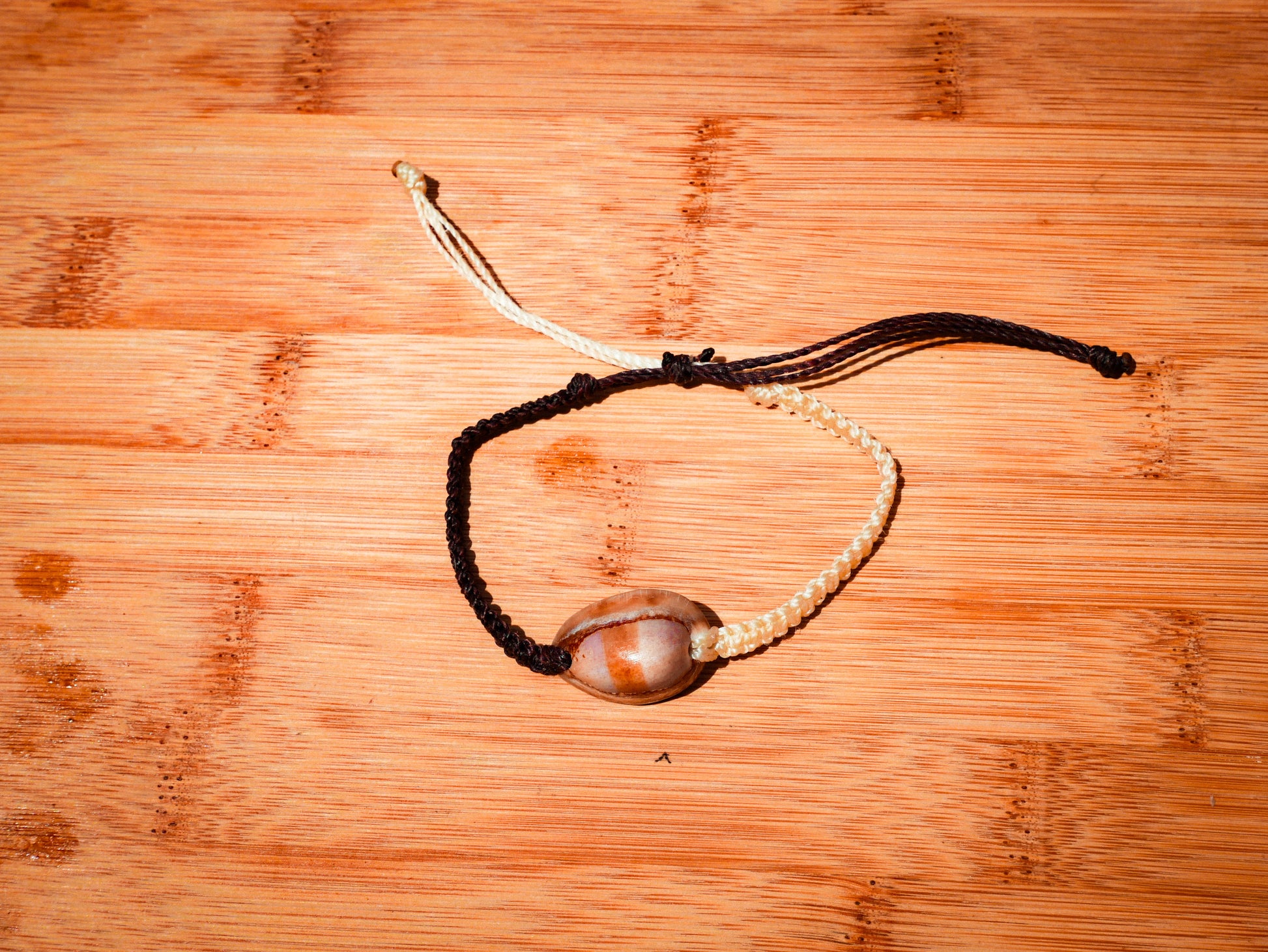 Snakehead Cowrie Bracelet/Anklet