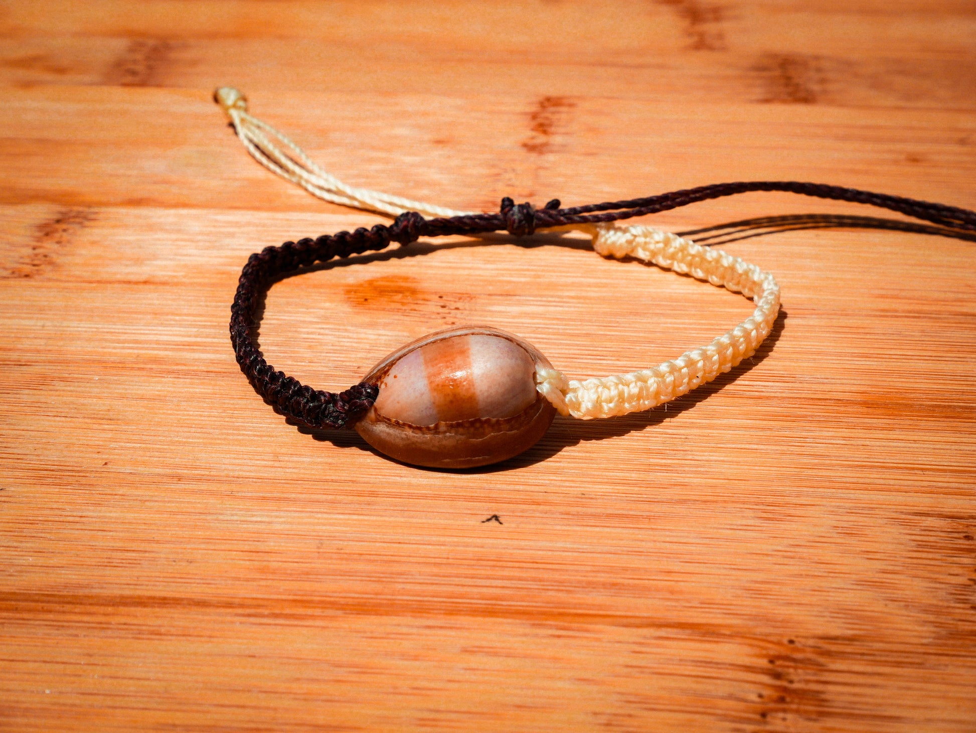Snakehead Cowrie Bracelet/Anklet