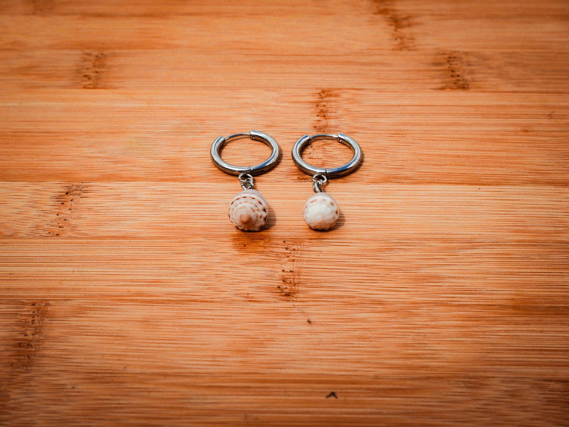 18mm Cone Shell Huggies