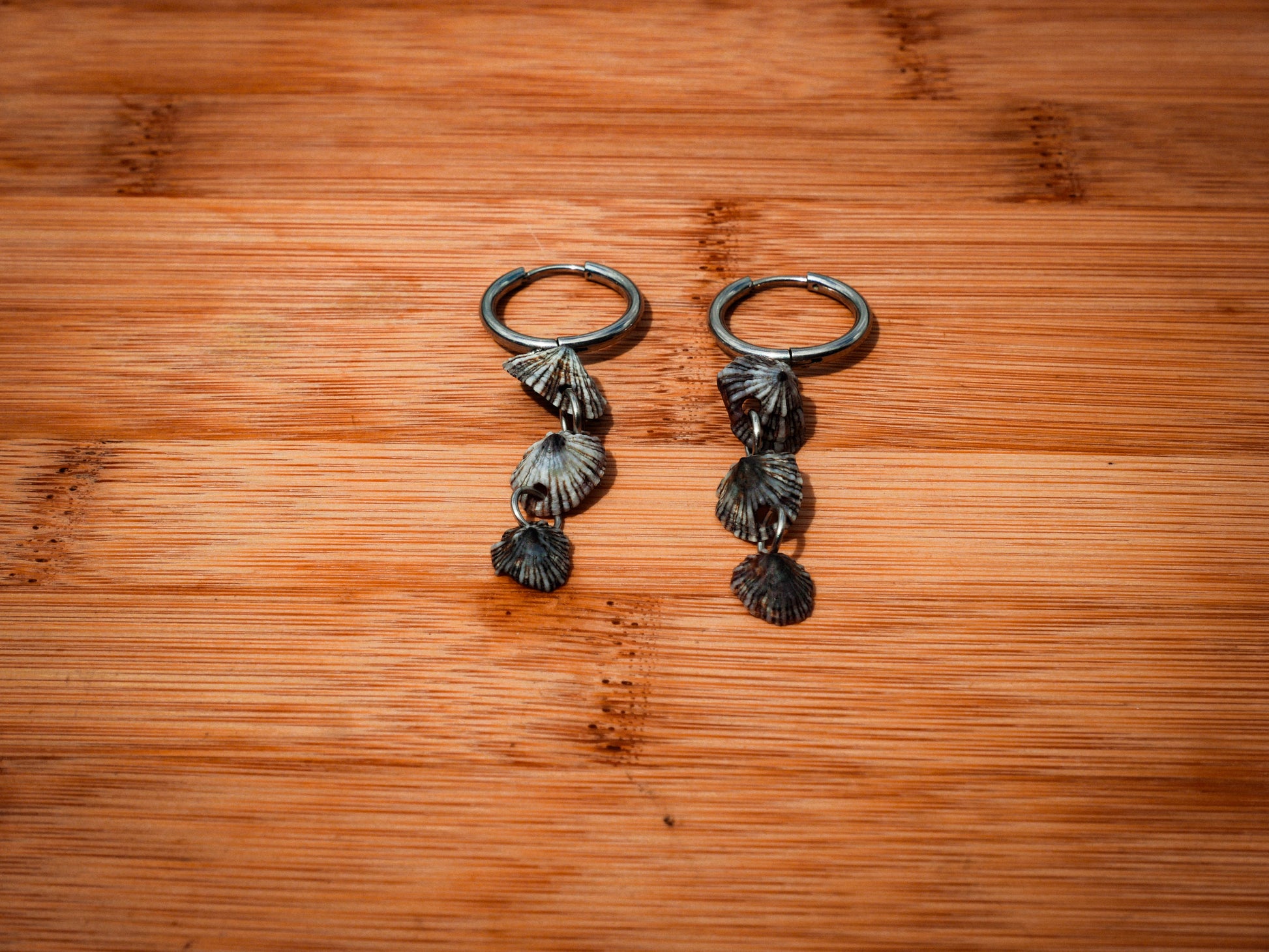 20mm Opihi Shell Huggies